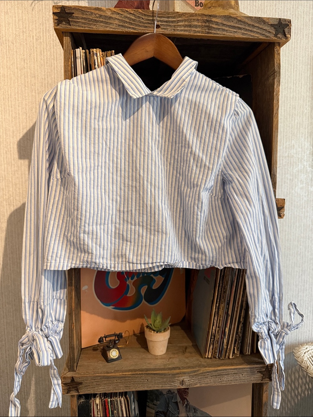 Zara Blue and White Striped Cropped Button-Up Blouse
